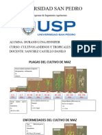 Universidad San Pedro: Alumna: Durand Luna Jennifer Curso: Cultivos Andinos Y Tropicales Docente: Sanchez Castillo Danilo