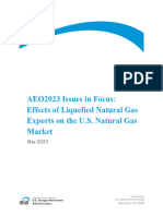 LNG Issue in Focus
