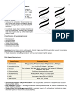 DNA Repair Mechanisms