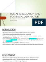 Foetal Circulation and Post Natal Adaptation Fdne