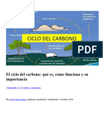 Ciclo Del Carbono