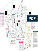 Mapa Conceptual Etapas Del Desarrollo Cognitivo de Piaget