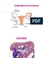 OVARIO1