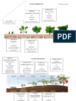 Tarea 6. Cultivos Basicos