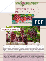 Fruticultura Especial - "Vid"
