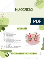 Hemorroides PDF