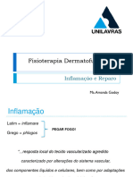 Aula 2 INFLAMAÇÃO E REPARO