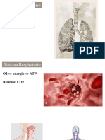 Sistema Respiratório