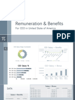 CEO Remuneration & Benefits