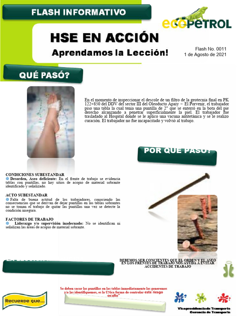 Herida en Pie Por Puntilla PDF