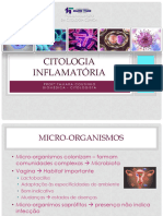 Citologia Inflamatória - Pós Gradução Parte 2