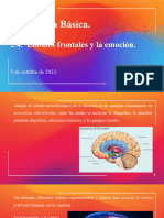 2.4. Lóbulos Frontales y La Emoción.