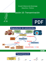 Sesion 11 - Transaminacion - Odontologia TGO-TGP