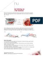 Backenbottentraning-Kvinnor 16