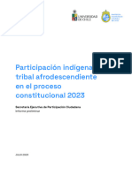 2022 Informe Participacion Indigena