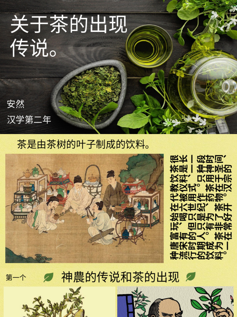 茶的传说| PDF