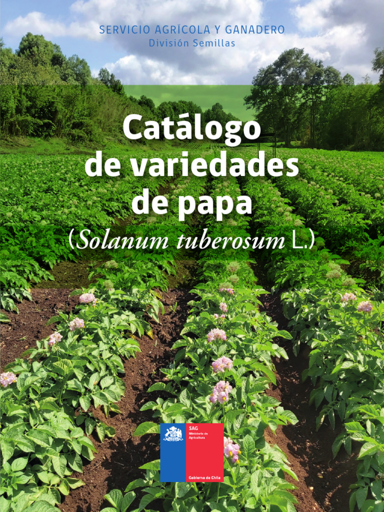 Catálogo de Variedades de Papa | PDF | Patata | Color