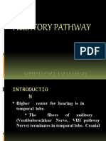 Auditorypathway