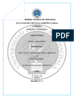 Portafolios de Histologia