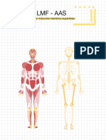 Roteiro de Anatomia Do Curso de Medicina