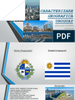 Uruguay Proiect