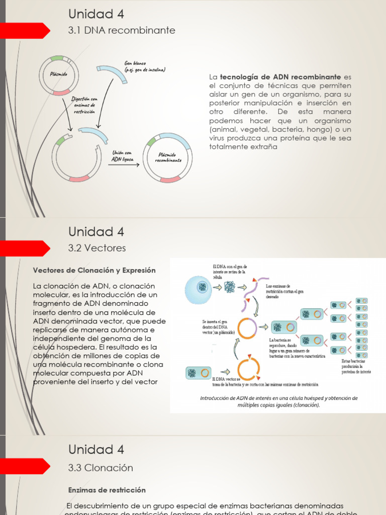 Grátis: DNA recombinante - Material Claro e Objetivo em PDF para Estudo  Rápido, image size:768x1024