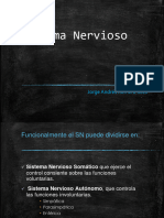 Sistemanerviosocentralyautonomo 140610191256 Phpapp02