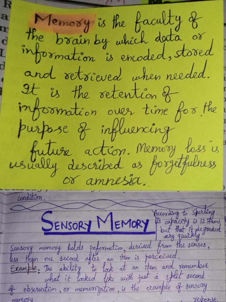 Types of Memory in Psychology | PDF | Science & Mathematics