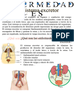 Biología - Sistema Linfático