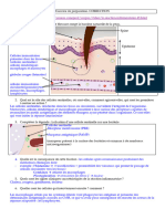 Corrigé TD 01