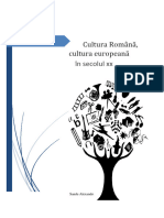 Cultura Romana - Cultura Europeana