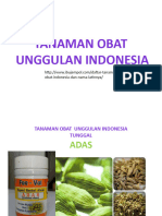 Tanaman Obat Indonesia