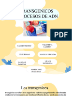 Transgenicos y Procesos de ADN