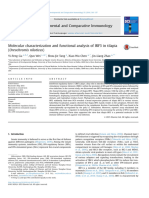 Molecular Characterization and Functional Analysis of IRF3 in Tilapia (Oreochromis Niloticus)