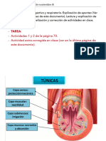 35 CLASETAREA 25 - 21 Noviembre A