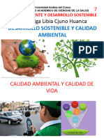 Medio Ambiente y DS (7) Calidad Ambiental - DS