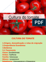 Tomate Slide