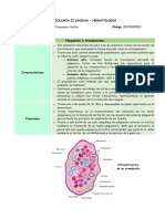 Función de Plaquetas y Hemostasia