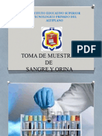 Toma de Muestras de Sangre y Orina