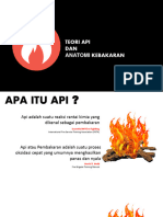Teori Api Dan Anatomi