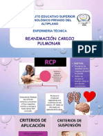 Reanimación Cardio Pulmonar: Instituto Educativo Superior Tecnológico Privado Del Altiplano
