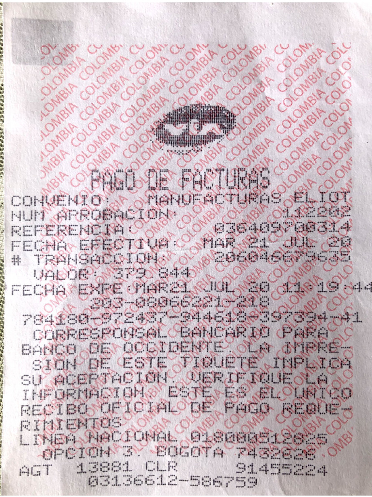 C MO PAGO MI FACTURA PERSONAL visual data 5