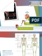 Saladin Anatomia 6a Diapositivas Capitulo8 SISTEMA OSEO - 1