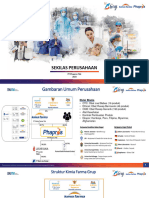 Company Profile Indonesia Template 2023