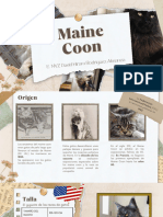 Maine Coon