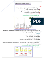 التغدية عند النباتات