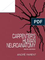 Neuroanatomy - Carpenter 9E (1996)