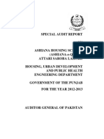 Special Audit Report