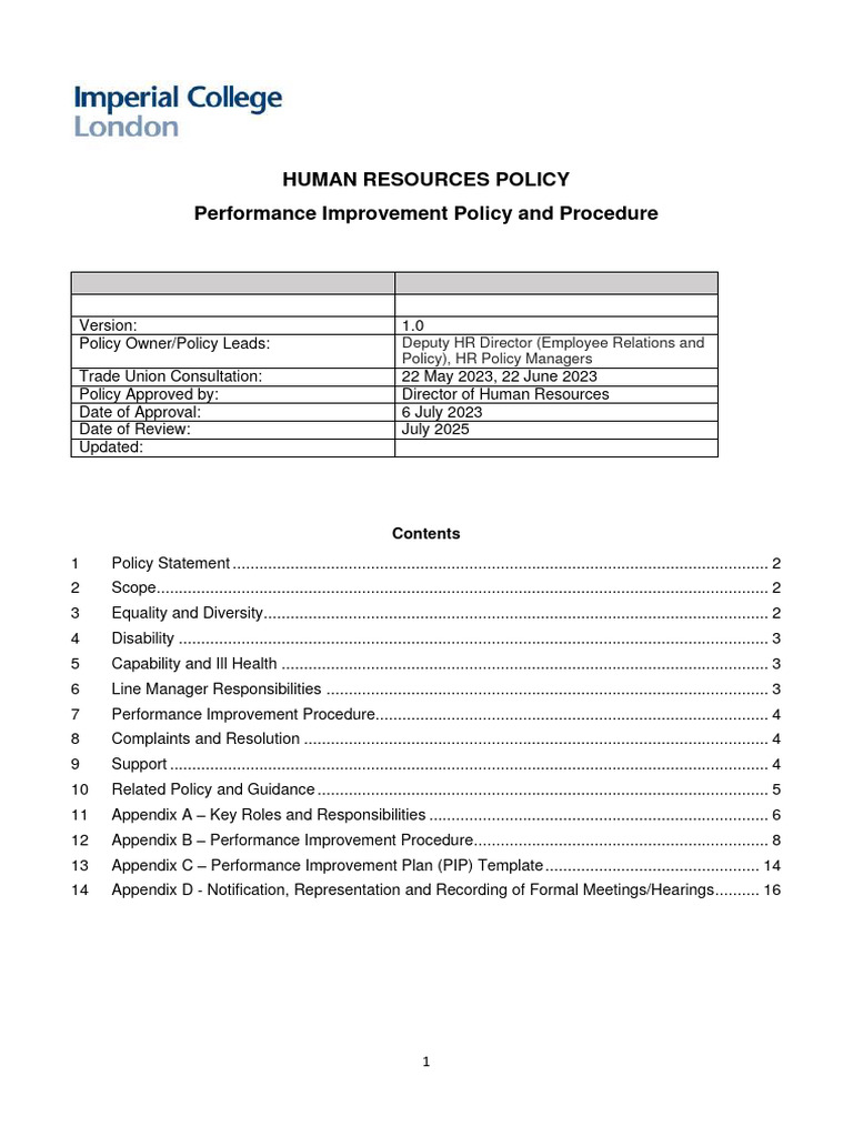 Performance Improvement Policy Guide | PDF | Employment | Policy