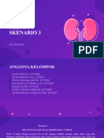 Skenario 3 Pielonefritis